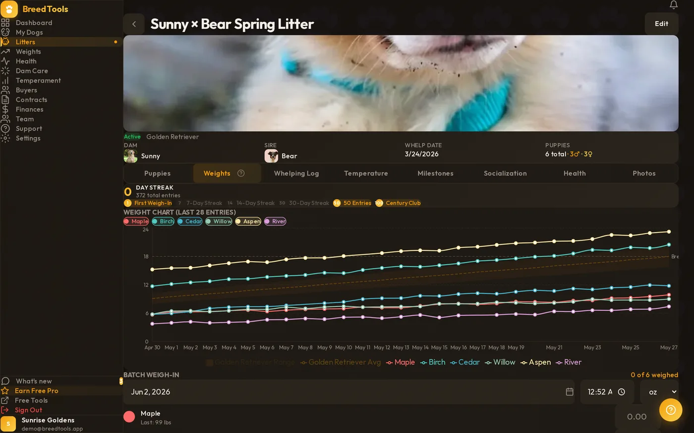 BreedTools App litter weight chart tracking six puppies' growth curves over time
