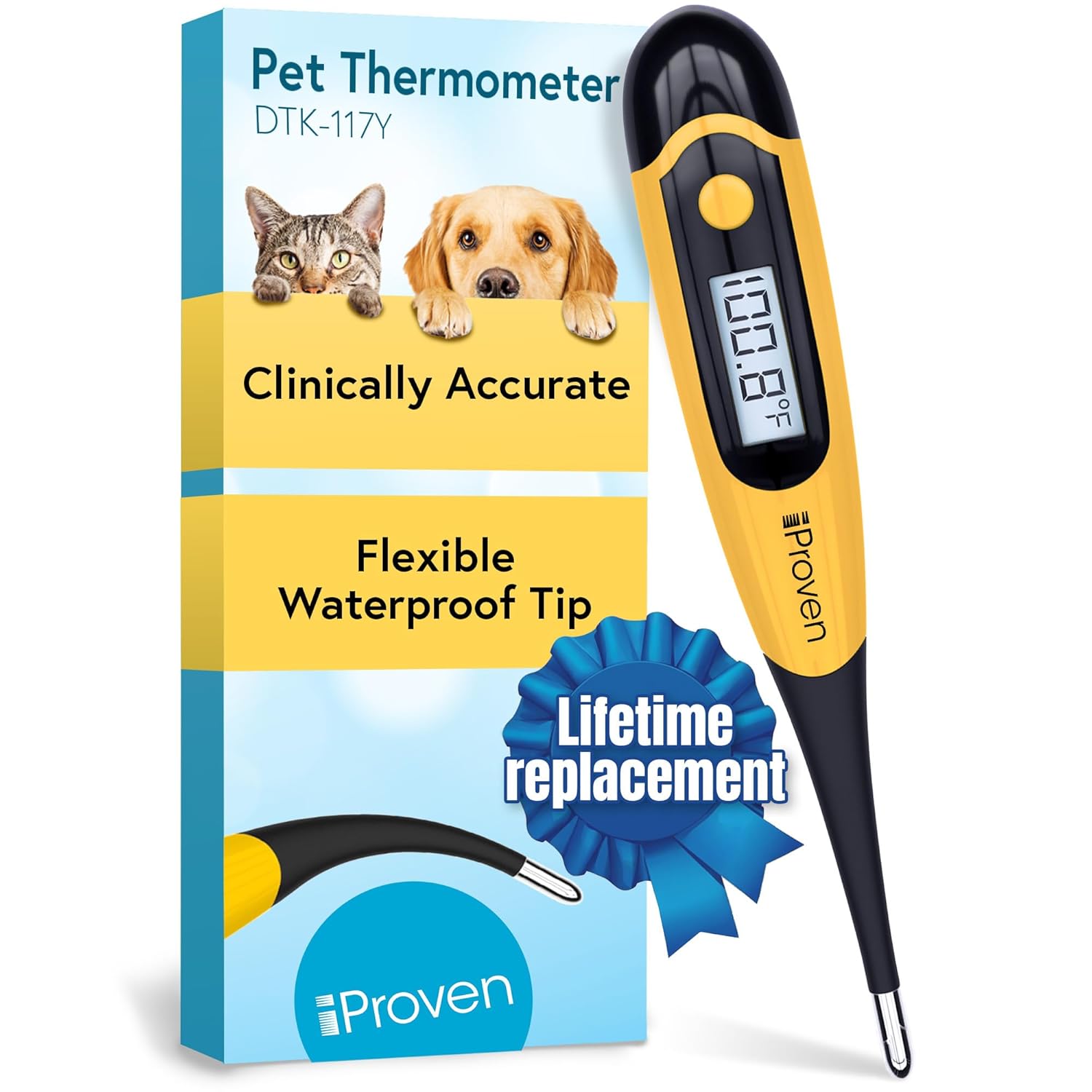 Digital Thermometer
